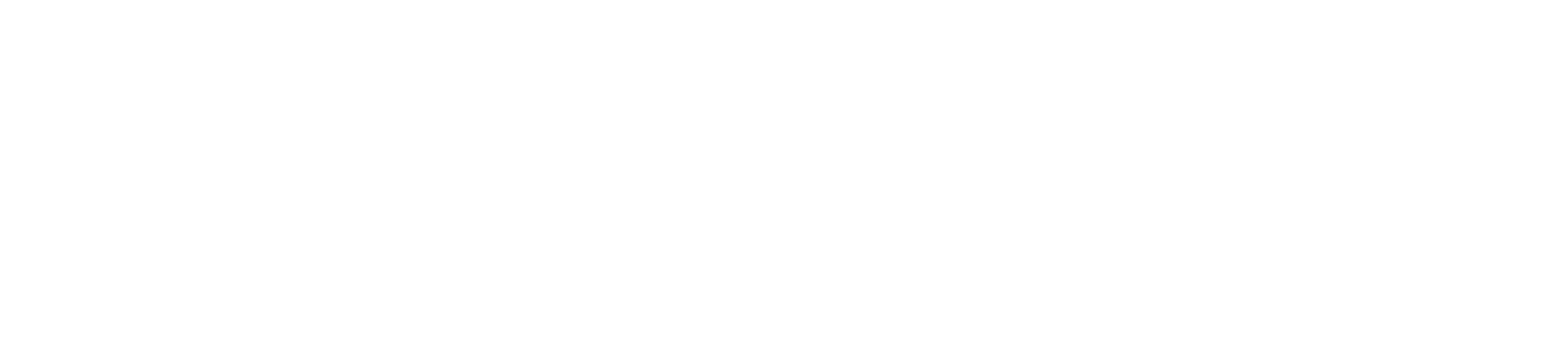 coderslink logo white