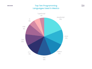 IT salary guide-Programming-languages