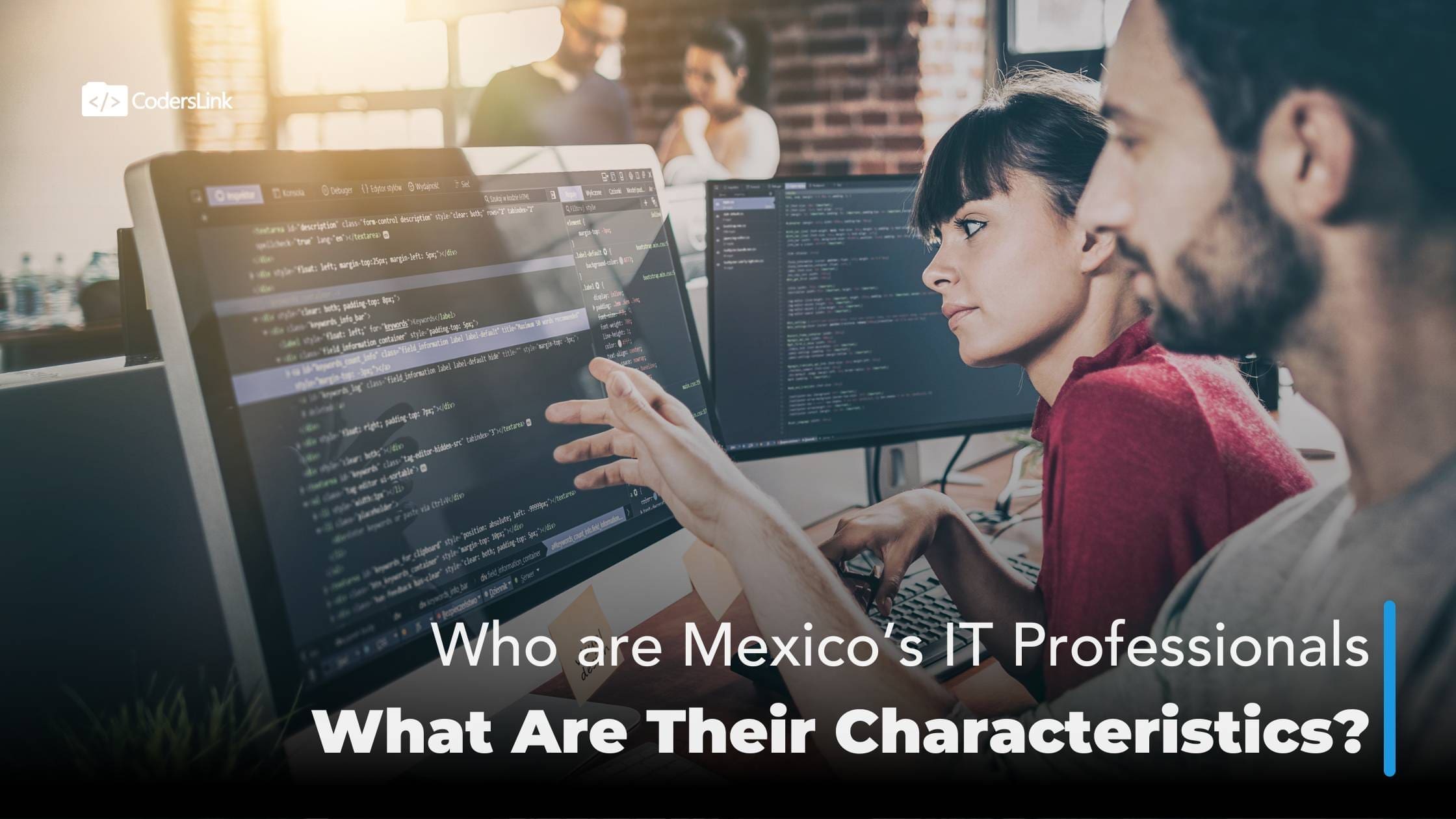 Who are Mexico’s IT Professionals and What Are Their Characteristics